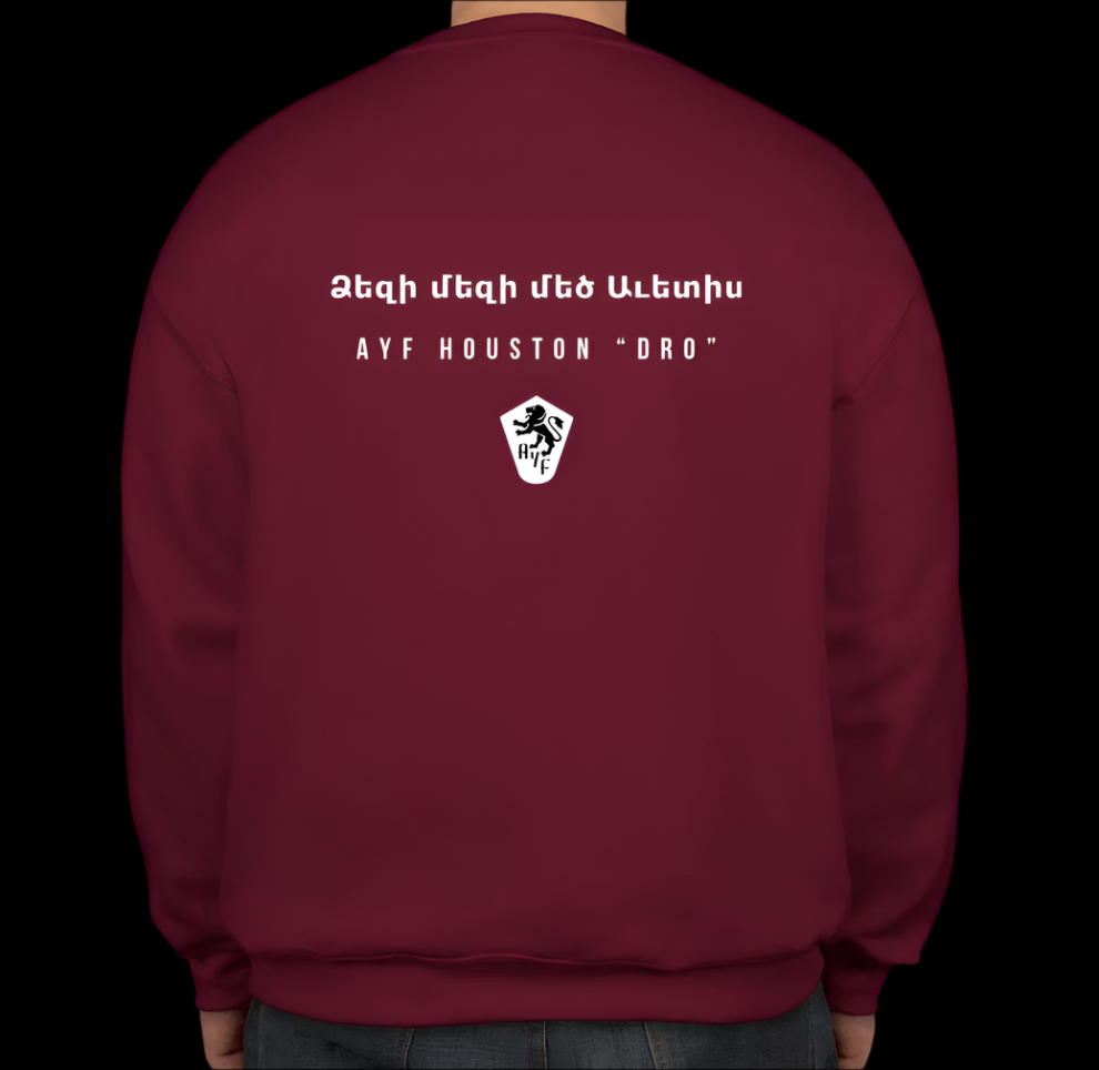 AYF Houston Christmas Sweater